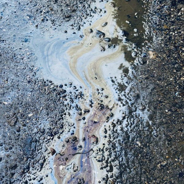 photo_2025-03-29_13-22-37